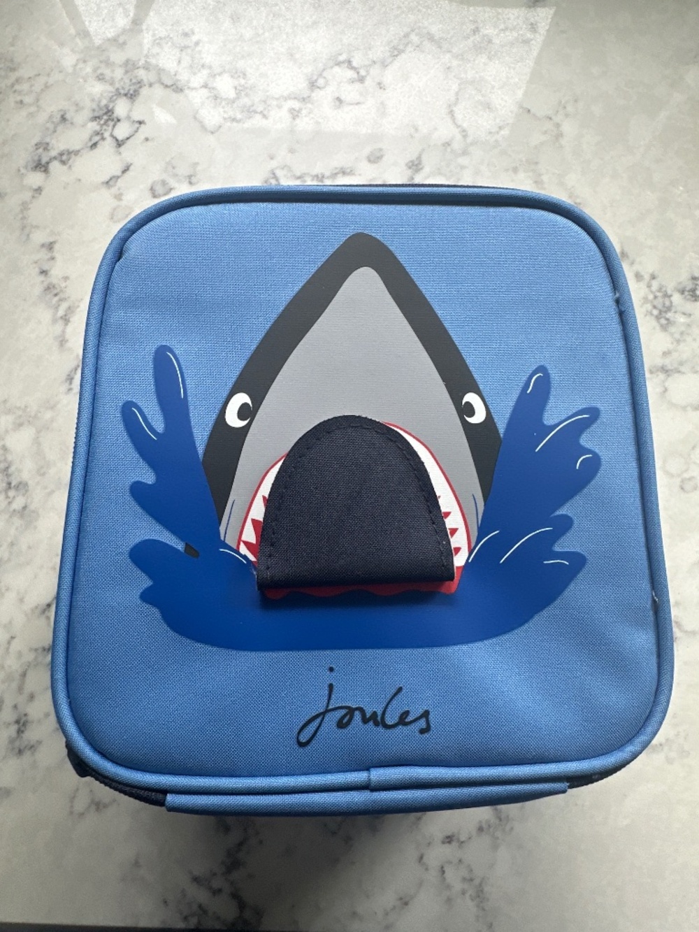 NWT Lunchbox Cooler